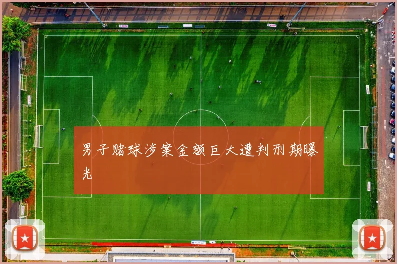 男子赌球涉案金额巨大遭判刑期曝光