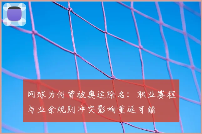 网球为何曾被奥运除名:职业赛程与业余规则冲突影响重返可能