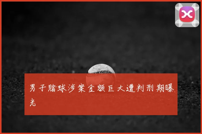 男子赌球涉案金额巨大遭判刑期曝光