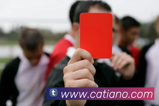 开云网页版在线登录app平台生态图